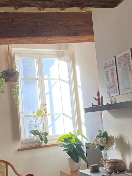 Appartement Casa Luisa - Mura Di Lucques