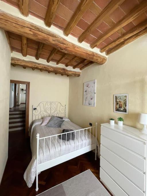 Apartment Casa Luisa - Mura Di Lucca